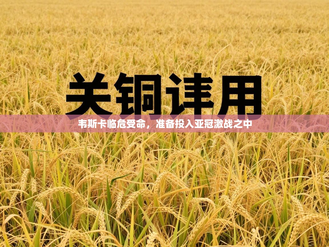 韦斯卡临危受命，准备投入亚冠激战之中  第1张